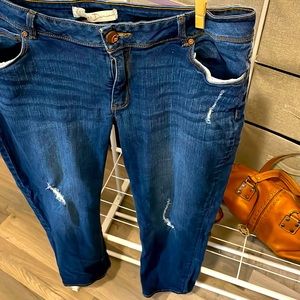 EST 1946 Denim Contemporary Jean